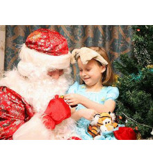 Дед мороз поздравление дома Днепропетровск купить в интернет магазине подарков ПраздникШоп