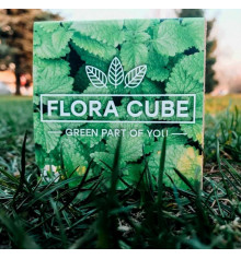 Экокуб "Flora Cube", мелисса купить в интернет магазине подарков ПраздникШоп